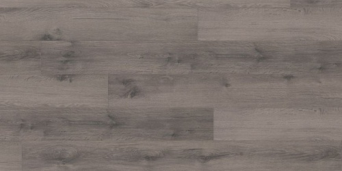 Wineo 500 XL Tennessee Oak Platinum