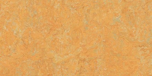 Forbo Marmoleum Fresco 3847 golden saffron