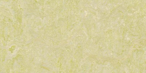 Forbo Marmoleum Fresco 3881 green wellness